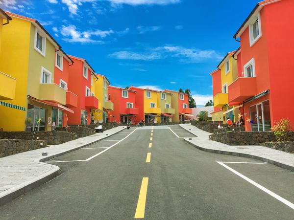 Institutional Strengthening of a National Housing Organization