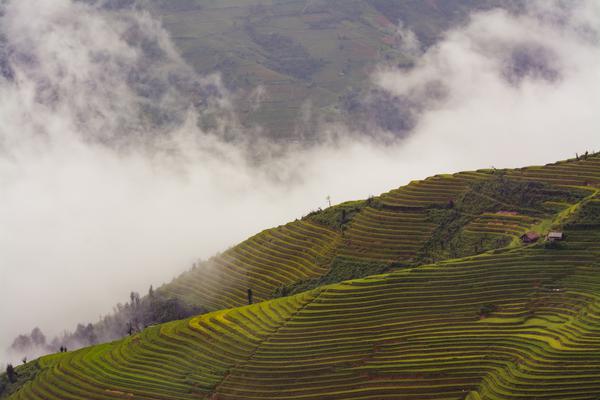 Optimizing Development Finance Levers to Meet the 2030 SDGs: Scoping Report